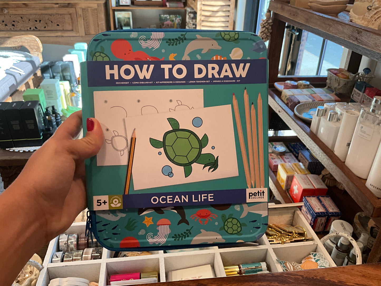 How to draw ocean life