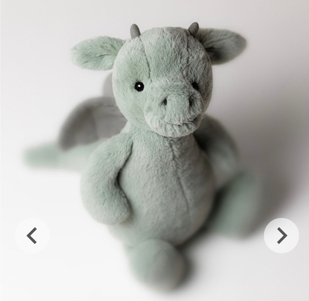Bashful Dragon