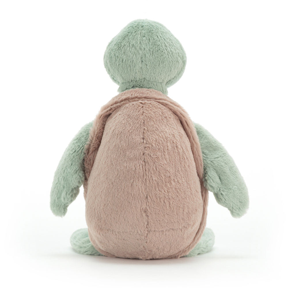Bashful Turtle |Original