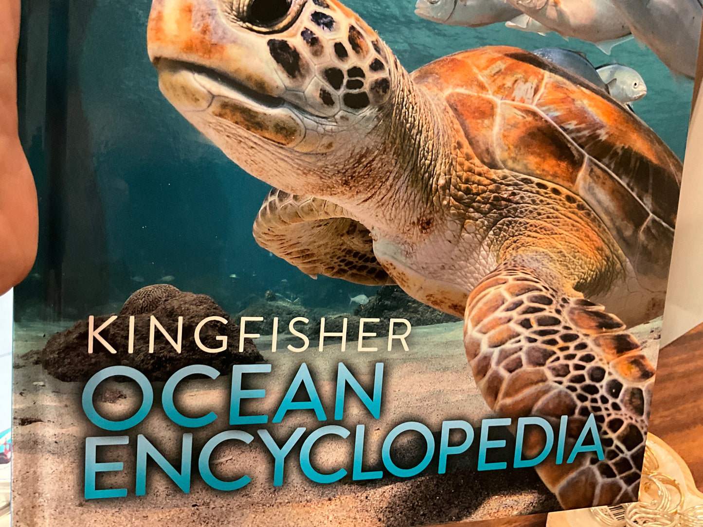 Ocean Encyclopedia