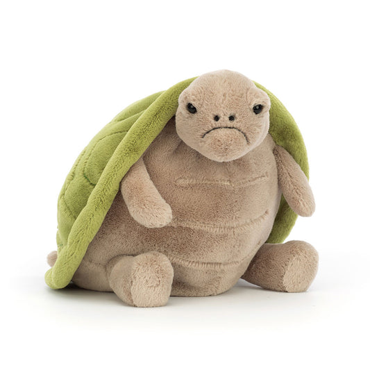 Timmy Turtle | Medium