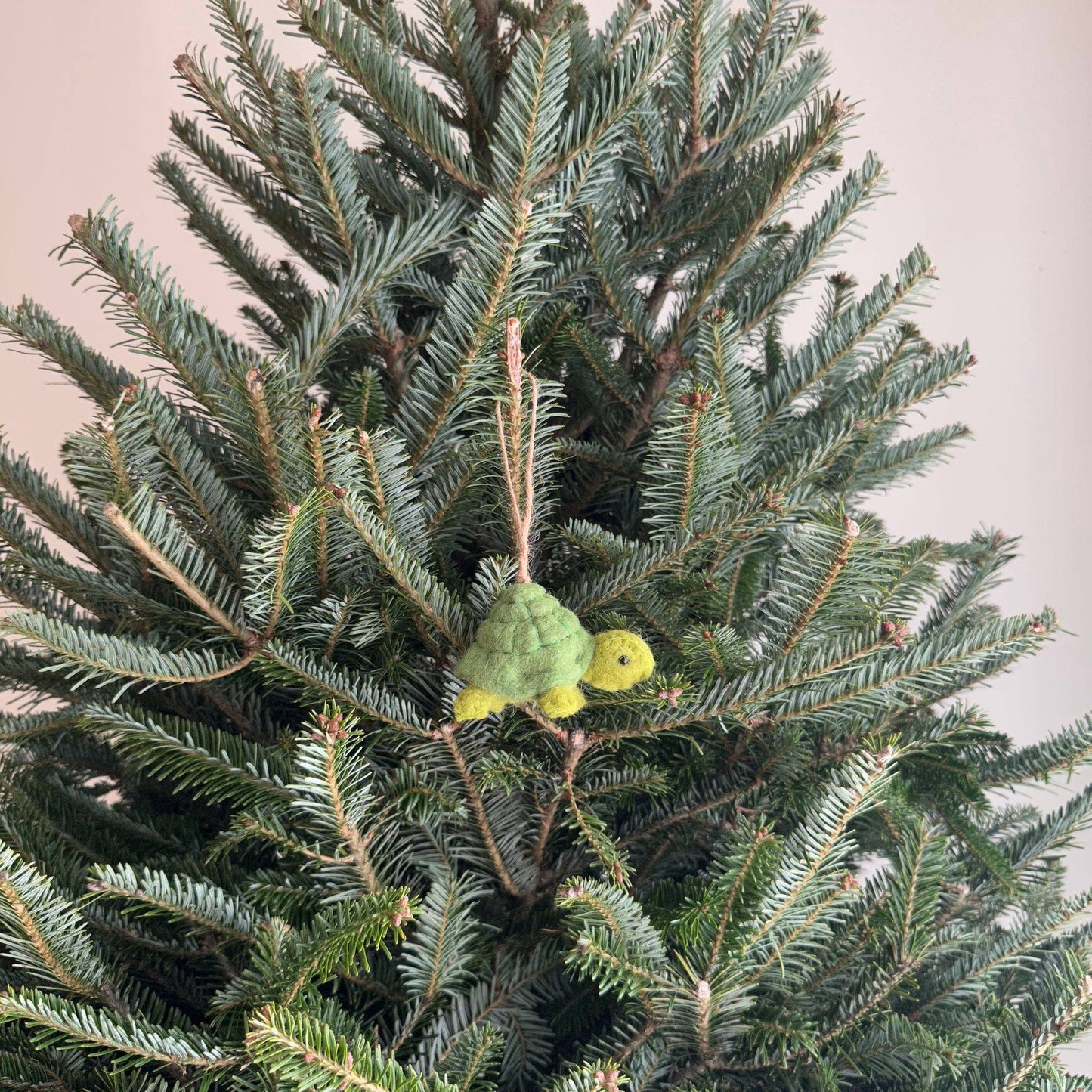 Felt Turtle Ornament