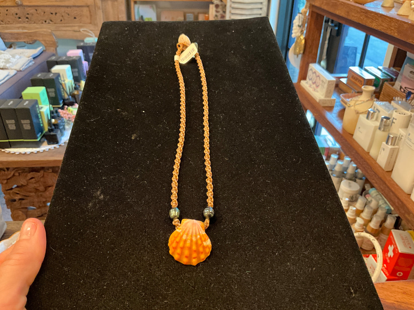 Sunrise Shell w/ TP Necklace