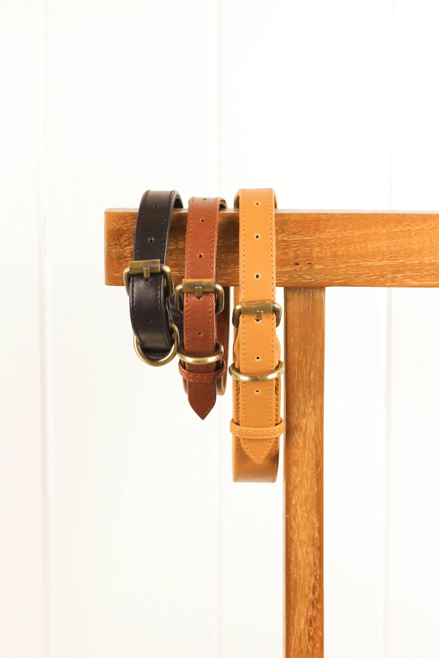 Ilio Collar | Leather Belted Dog Collar