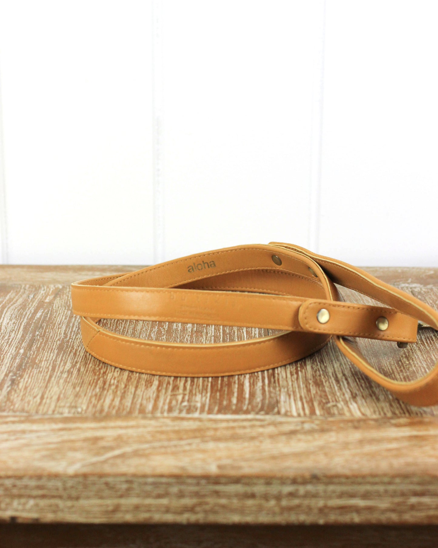 Ilio Leash | Leather Dog Leash with Loop