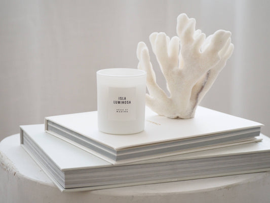 Isla Luminosa Petite Candle 4 oz