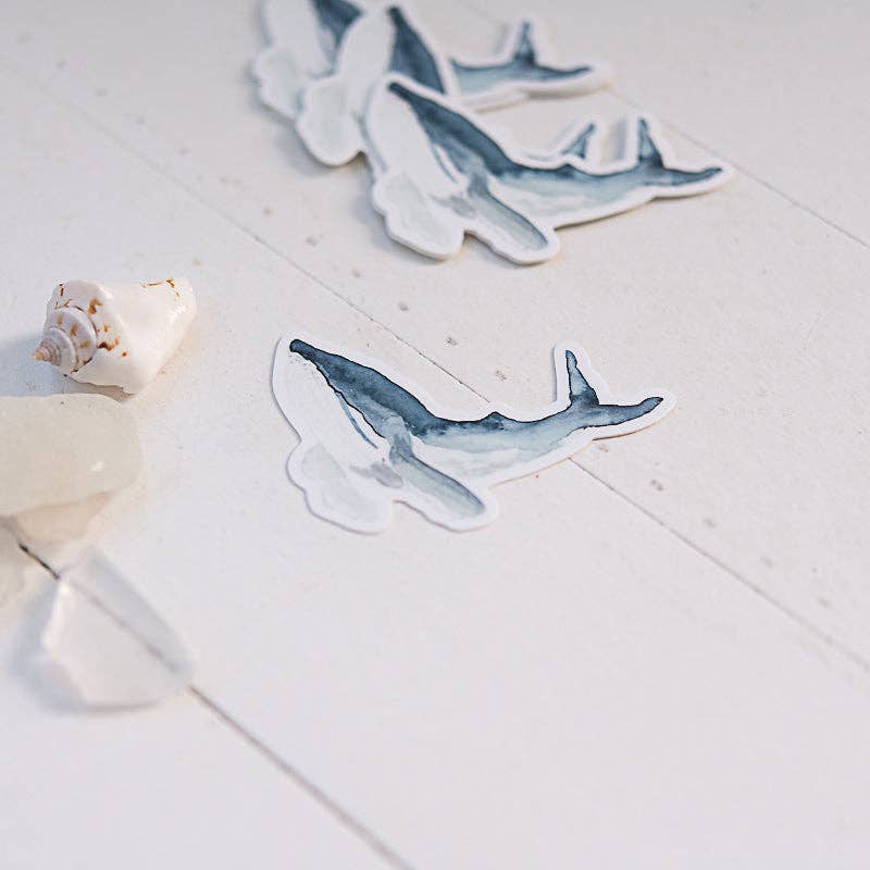 Humpback Whale Sticker